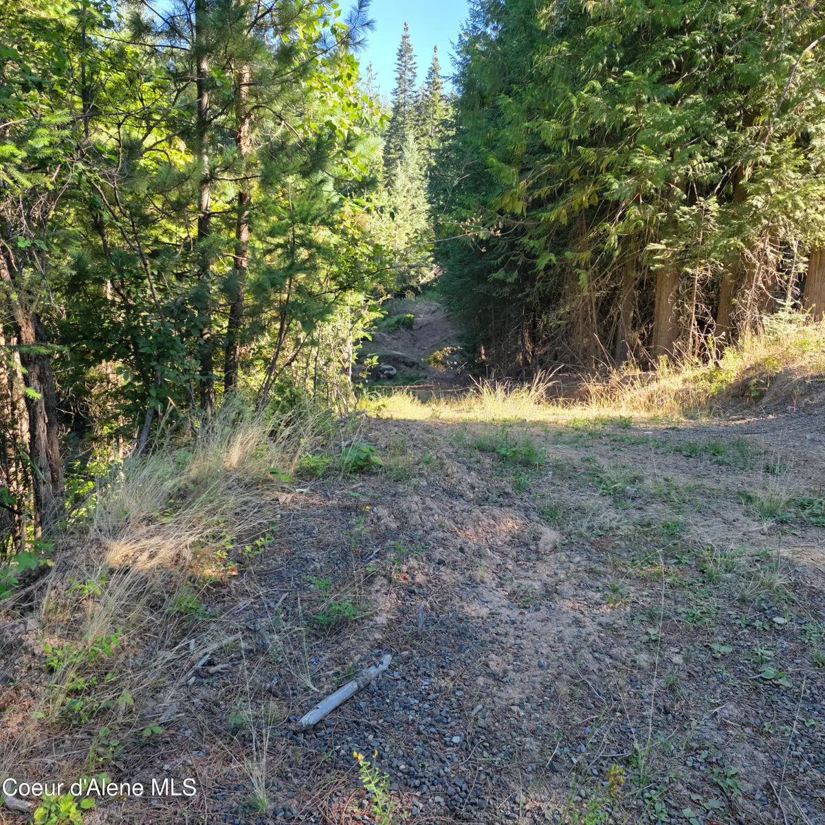 NKA Hells Gulch, Saint Maries, ID 83861 - #1