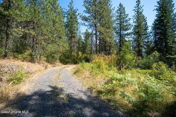 NNA W Reality Loop, Coeur Dalene, ID 83814 - #3