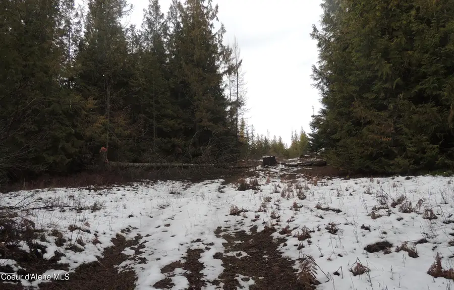 0 Balsam LN, Saint Maries, ID 83861 - #3