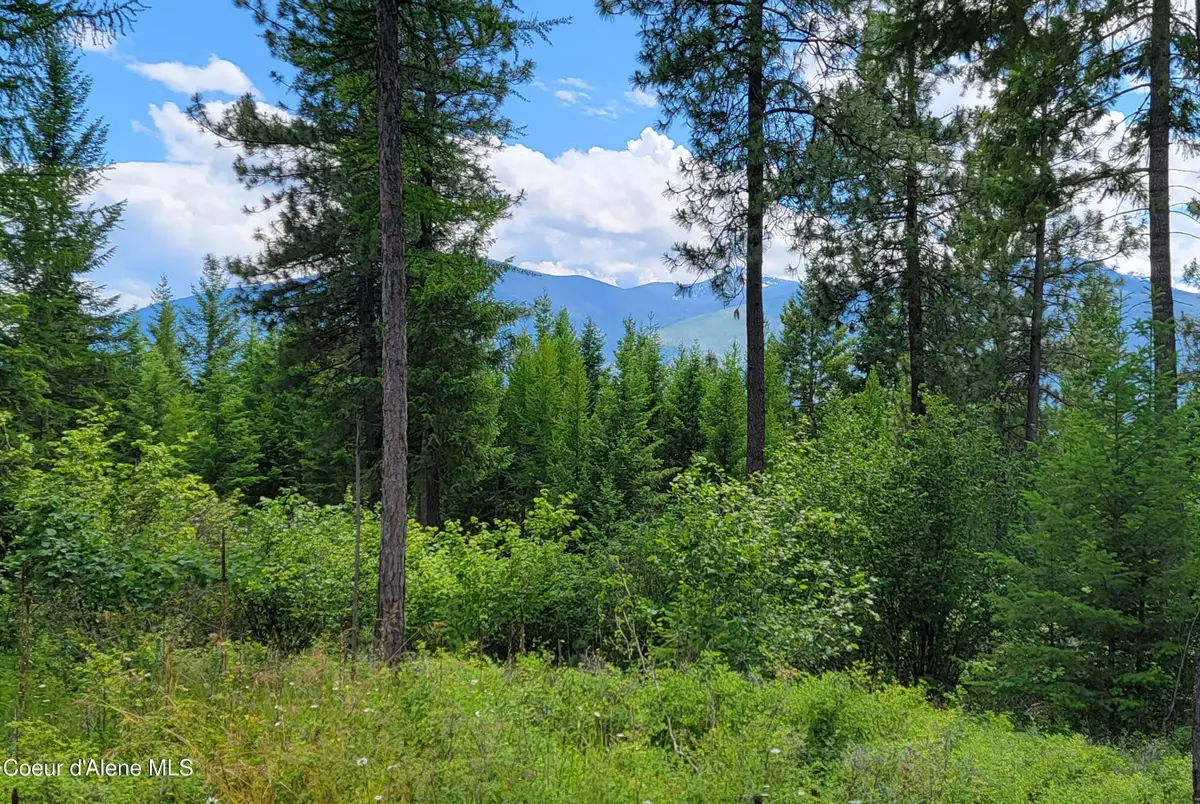 Bootlegger Lane- Parcel 1, Bonners Ferry, ID 83805 - #1