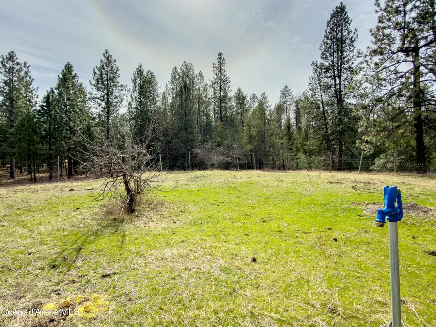 919 Silver Springs RD, Moyie Springs, ID 83845 - #3