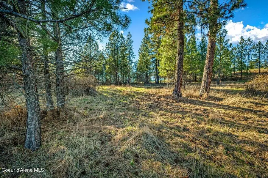 NNA PLATINUM DR L3 AND L4, Coeur D Alene, ID 83814 - #2