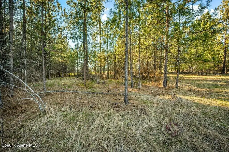 6385 W PLATINUM DR L4, Coeur D Alene, ID 83814 - #2