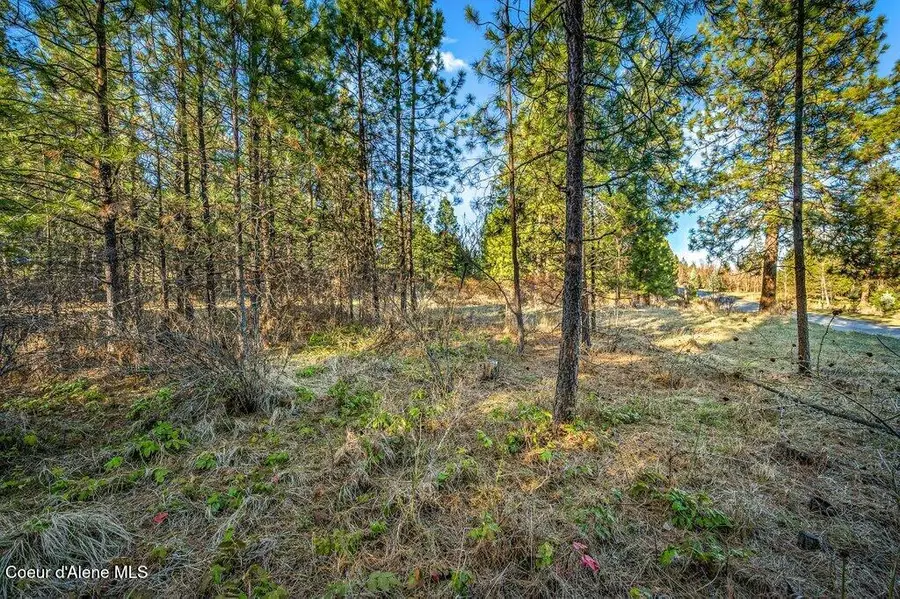 6385 W PLATINUM DR L4, Coeur D Alene, ID 83814 - #3