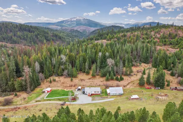 15876 S Skeel Gulch RD, Cataldo, ID 83810