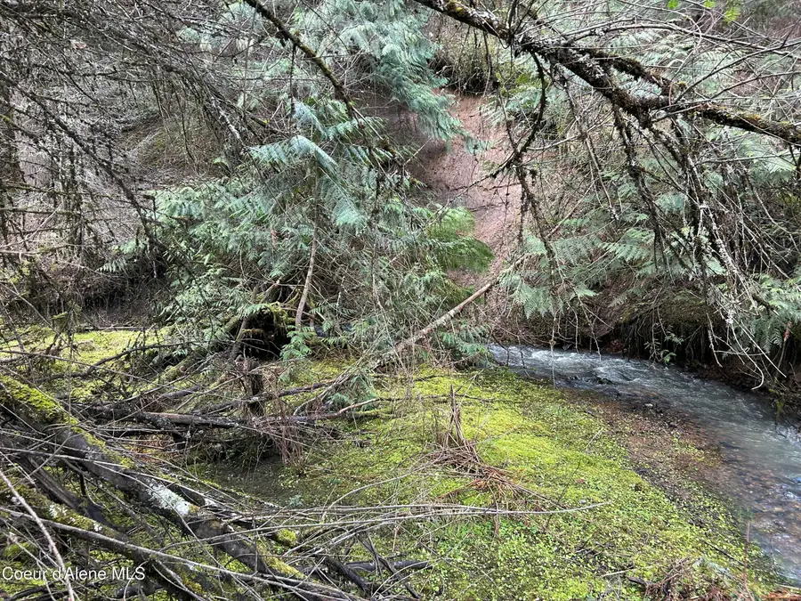 NNA E Bell Canyon Rd, Harrison, ID 83833 - #2