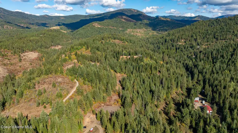 Grassy Mountain Vista, Saint Maries, ID 83861 - #2