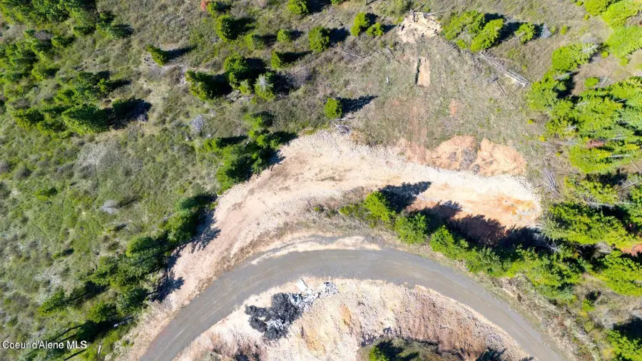 Lot 1 Lone Moose Dr, Plummer, ID 83851 - #2