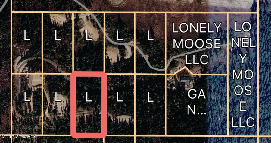 Lot 11 Lone Moose Dr, Plummer, ID 83851 - #3