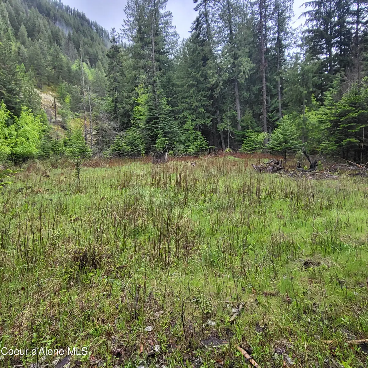 NNA Silver Ave, Bayview, ID 83803 - #1