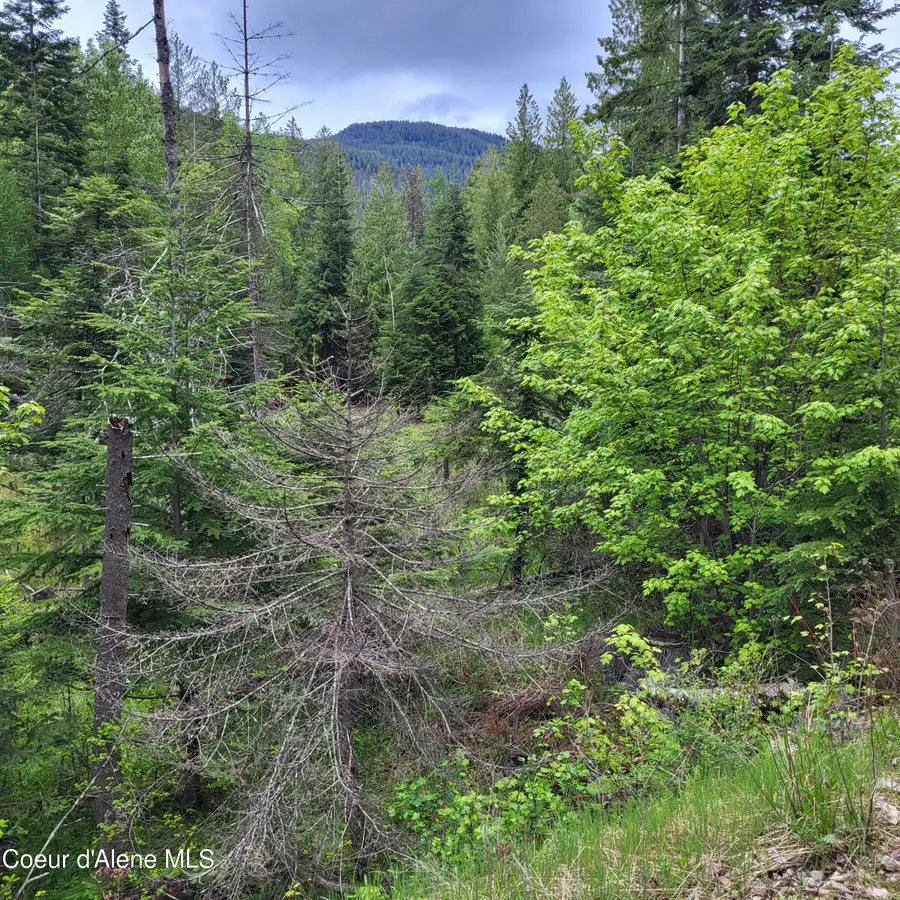 NNA Silver Ave, Bayview, ID 83803 - #2