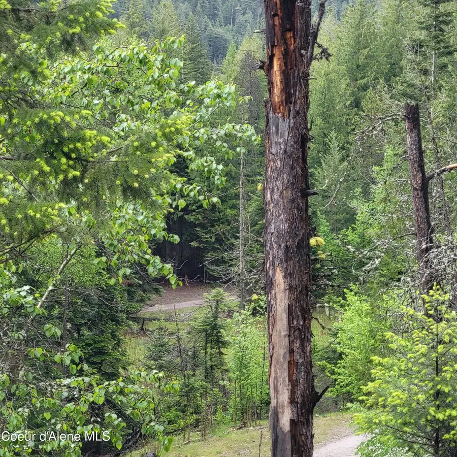 NNA Silver Ave, Bayview, ID 83803 - #3