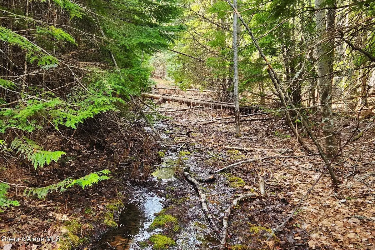 718 Slippery Slope Lot 2, Priest River, ID 83856 - #1