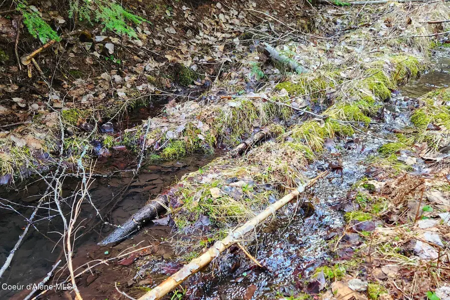 718 Slippery Slope Lot 2, Priest River, ID 83856 - #3