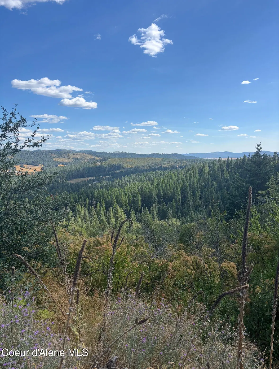 14.75 Acre Treetop LN, Plummer, ID 83851 - #1