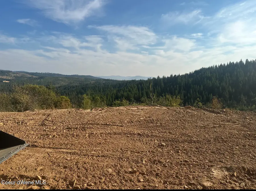 14.75 Acre Treetop LN, Plummer, ID 83851 - #2