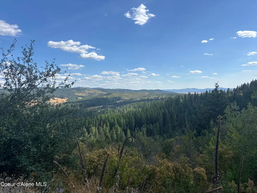 14.75 Acre Treetop LN, Plummer, ID 83851 - #3