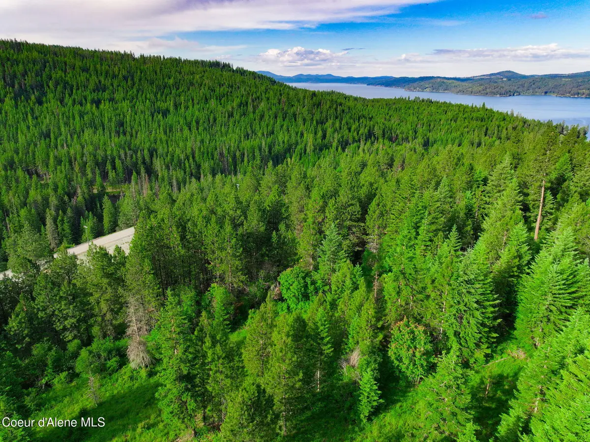 NKA 1B S Skyview Rd, Harrison, ID 83833 - #1