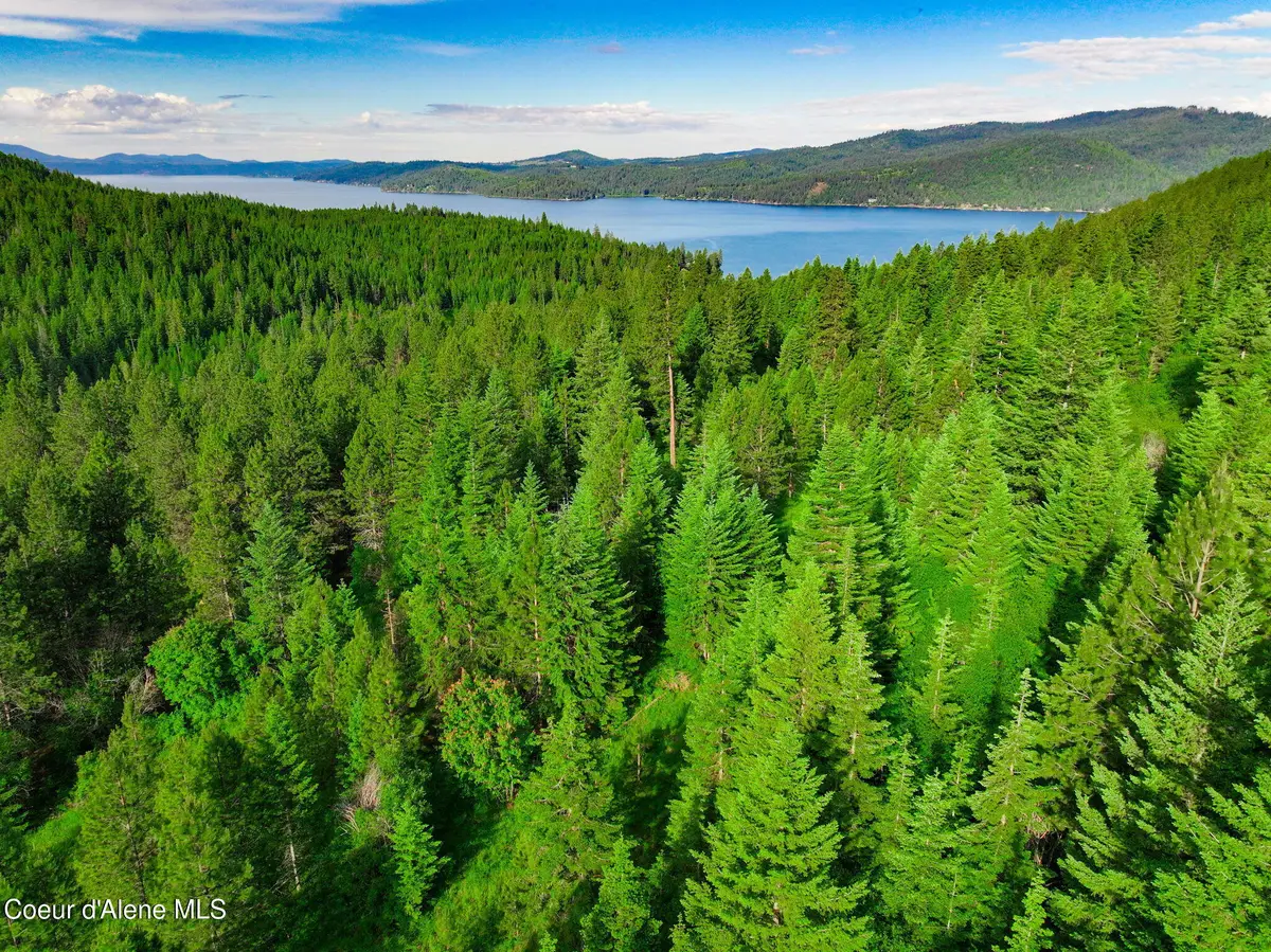 NKA-2 S Skyview Rd, Harrison, ID 83833 - #1