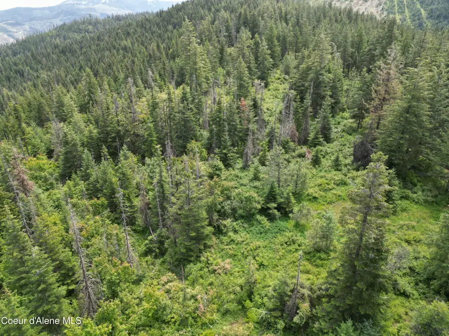 NKA INITIAL PEAK RD, Cataldo, ID 83810 - #3