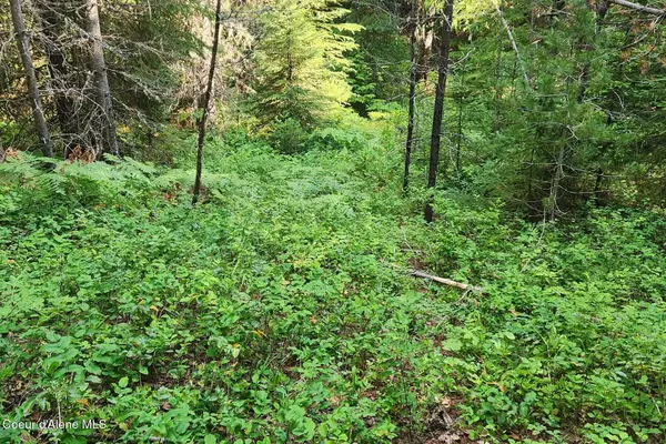 NNA Reeder Bay Rd, Nordman, ID 83848