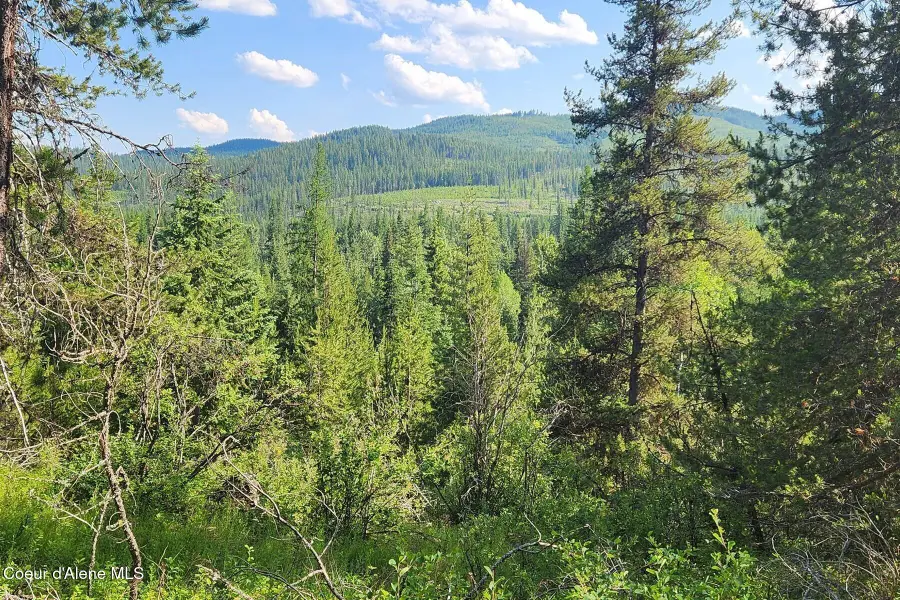 NNA Reeder Bay Rd, Nordman, ID 83848 - #2