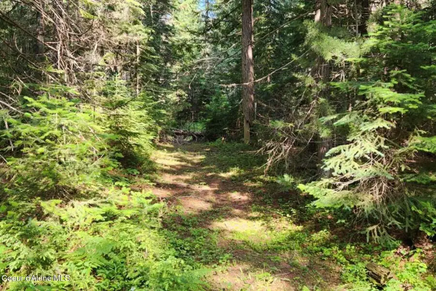 NNA Reeder Bay Rd, Nordman, ID 83848 - #3