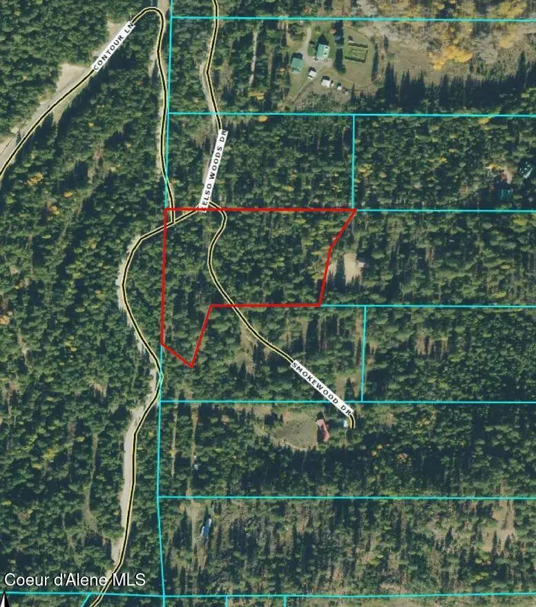 L1 Smokewood Dr, Athol, ID 83801 - #2