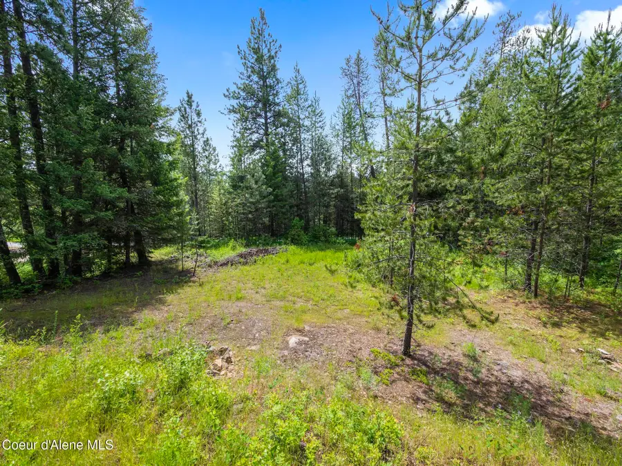 685 Blanchard Elk RD, Blanchard, ID 83804 - #3