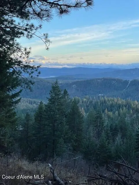 NKA PALOMINO DR 10 ACRES, Coeur Dalene, ID 83814 - #2