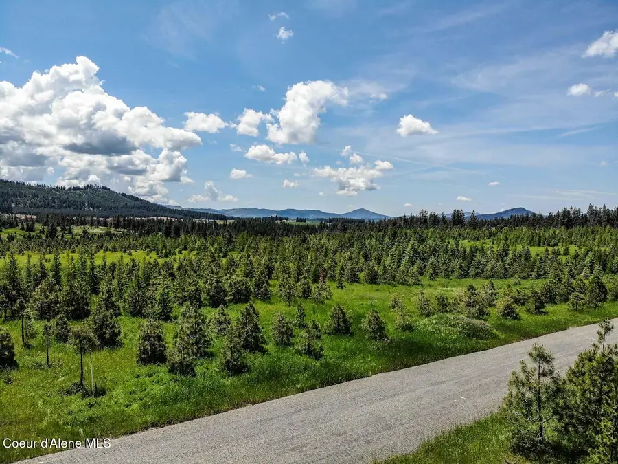 NNA E Sonora Sky Parcel 6 RD, Harrison, ID 83833 - #3