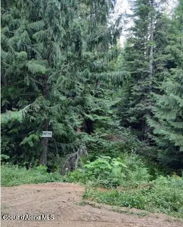 317 E Ridge RD, Saint Maries, ID 83861 - #1