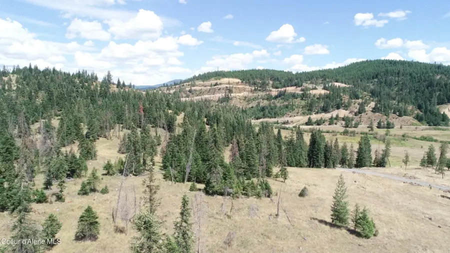NNA lot 1 Carpenter Creek Rd, Fernwood, ID 83830 - #3