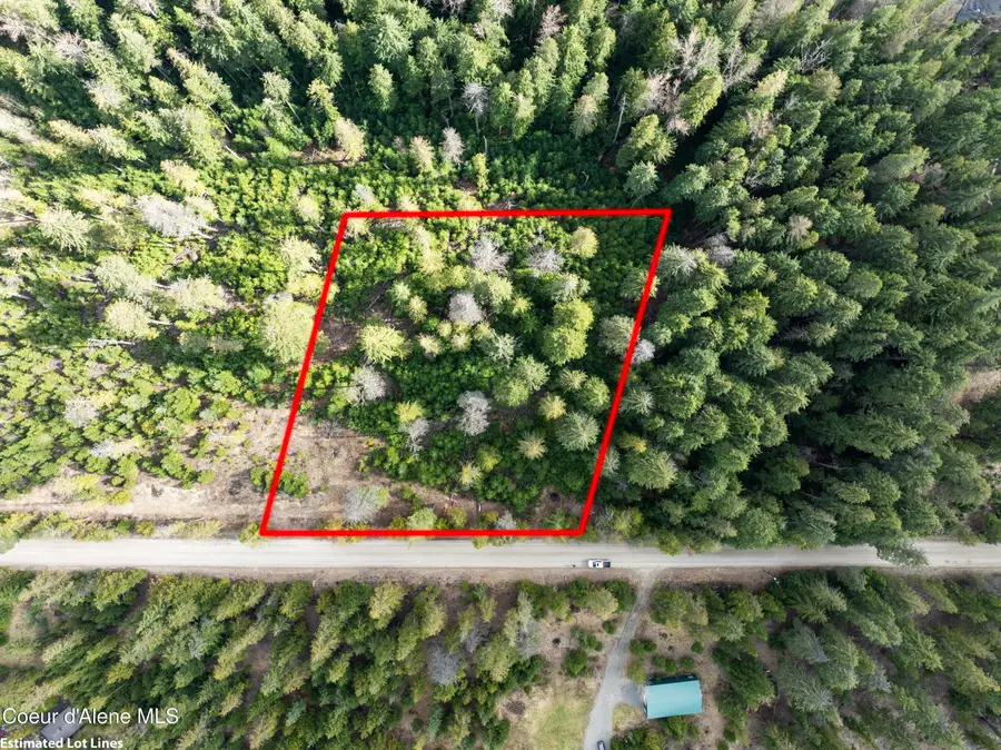 Lot 1 Peirone Estates, Nordman, ID 83848 - #3