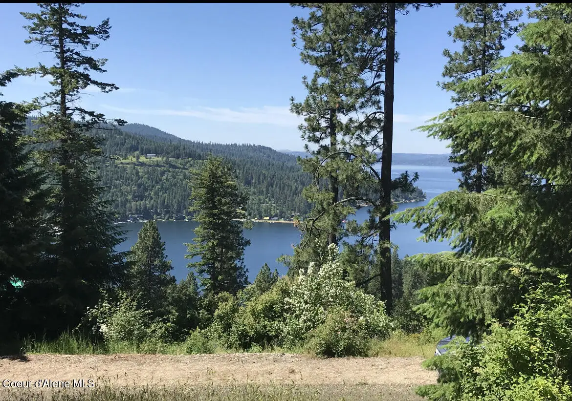 NNA Hanson, Harrison, ID 83833 - #1