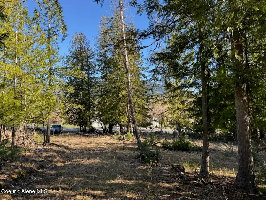 Lot 2 W PIne, Sandpoint, ID 83864 - #2