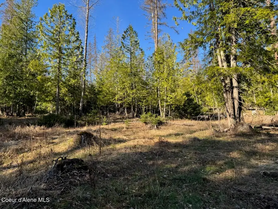 Lot 2 W PIne, Sandpoint, ID 83864 - #3