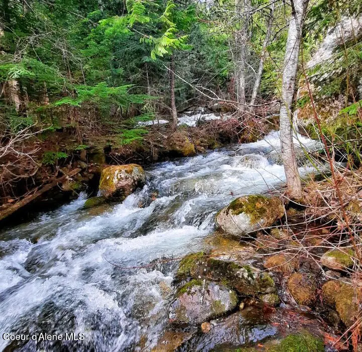 97 Mineral LN, Sandpoint, ID 83864 - #2