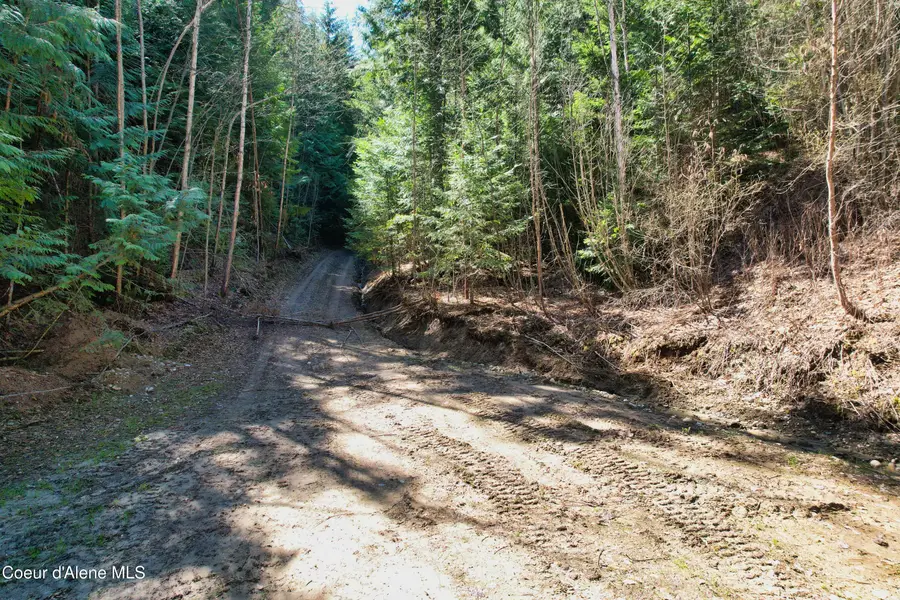 NNA 20 acres Juniper Ln, South And West Boundary, ID 83805 - #2