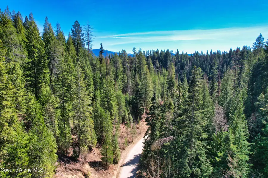 NNA 20 acres Juniper Ln, South And West Boundary, ID 83805 - #3