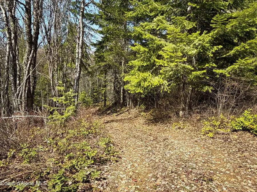 NKA Raven Ridge, Sandpoint, ID 83864 - #2