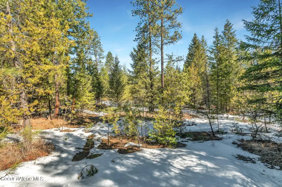 NKA Lot 1 Everett Huff Rd, Oldtown, ID 83822 - #3