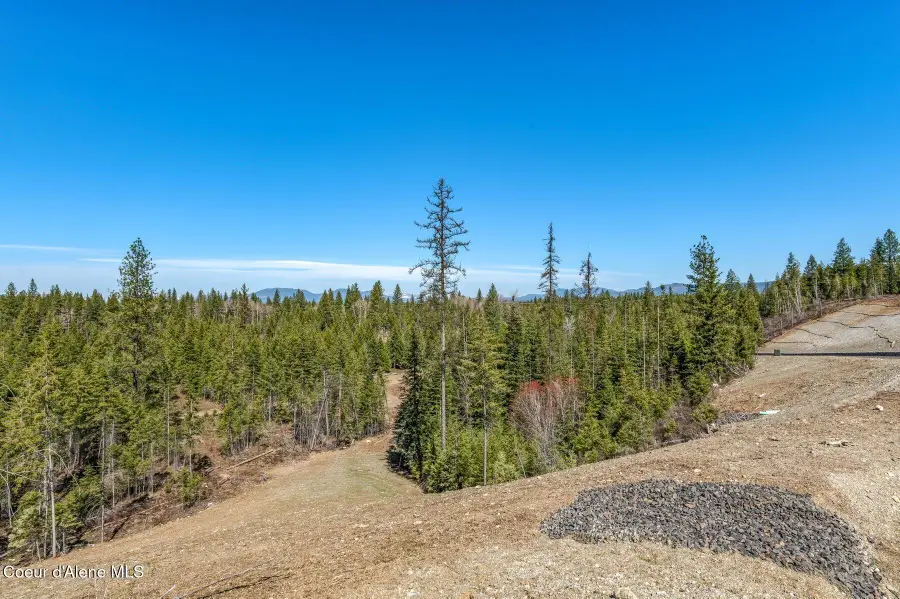 NKA Dickens Rd (Lot 1), Athol, ID 83801 - #2