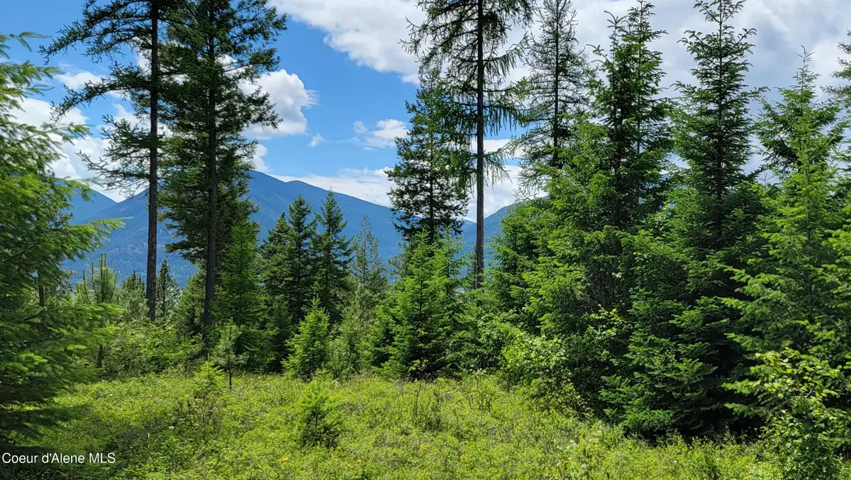 NNA Continental Lane-Tract 1, Bonners Ferry, ID 83805 - #1