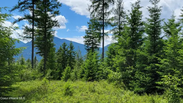 NNA Continental Lane-Tract 1, Bonners Ferry, ID 83805
