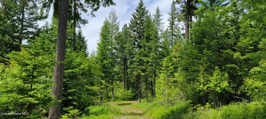NNA Continental Lane-Tract 1, Bonners Ferry, ID 83805 - #3