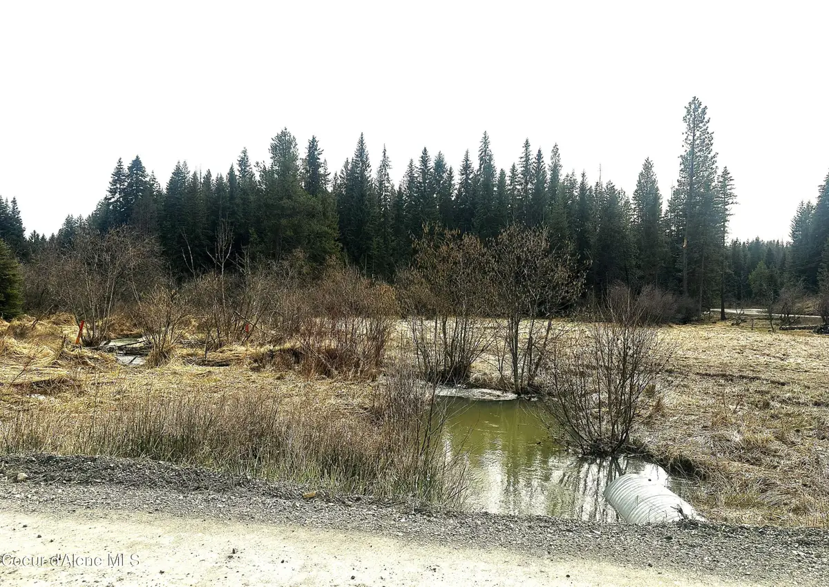 NKA Santa Creek Rd, Saint Maries, ID 83861 - #1