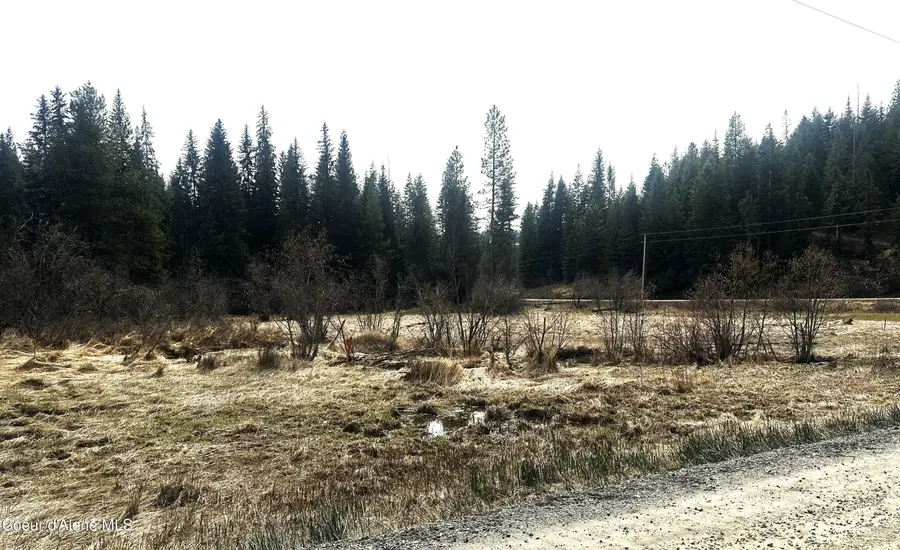 NKA Santa Creek Rd, Saint Maries, ID 83861 - #2