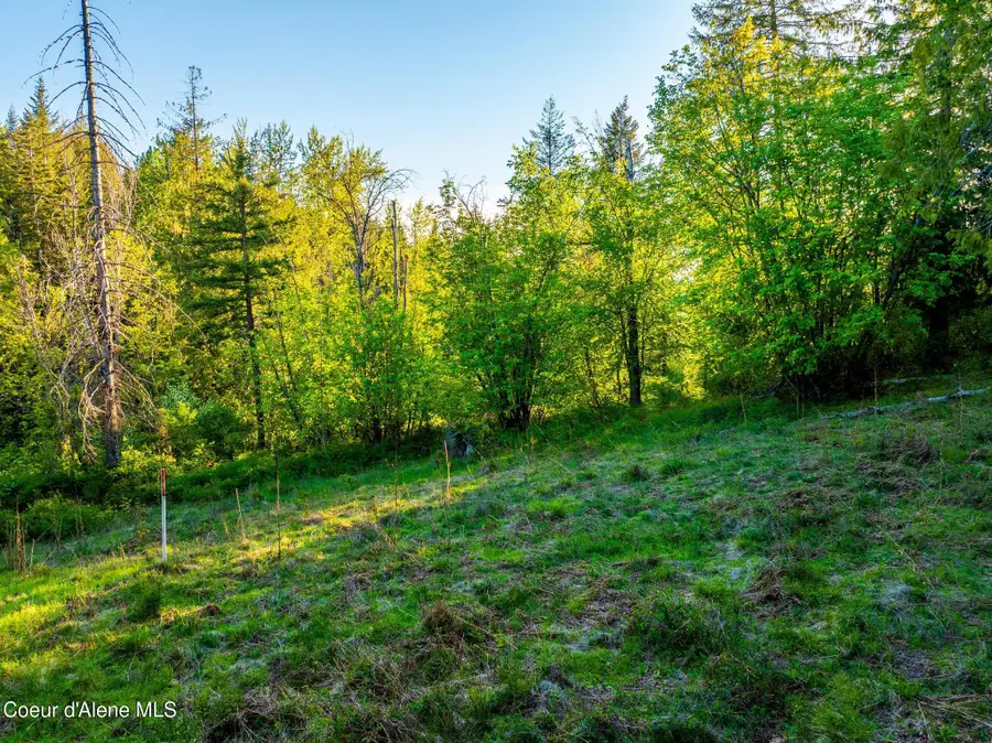 Lot F11 S Idaho Club Dr, Sandpoint, ID 83864 - #2