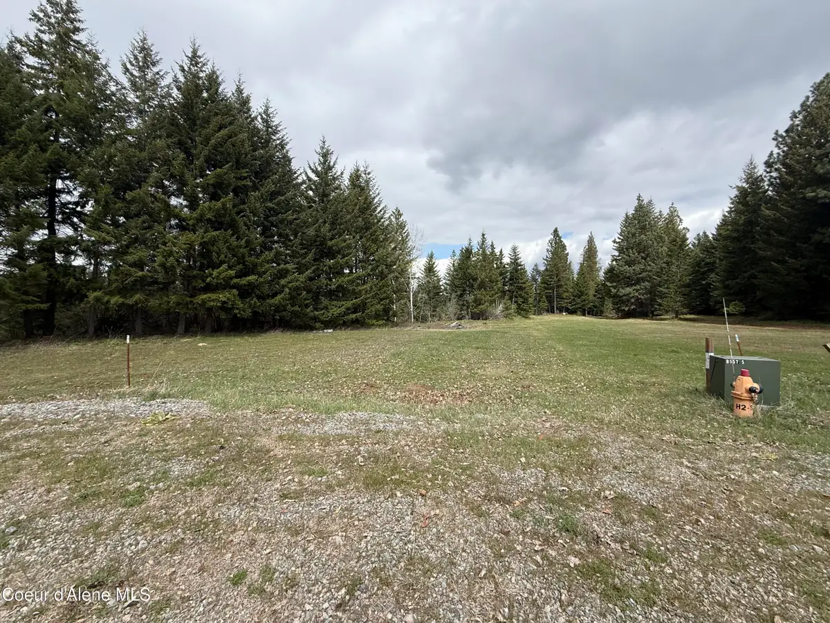 NKA Elderberry Road, Bonners Ferry, ID 83805 - #1